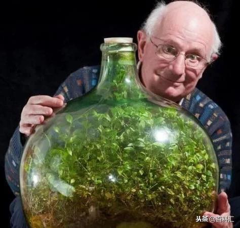 一个古怪的植物学试验：如果60年只给植物浇一次水